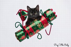 Christmas Cats Clipart Bundle PNG Product Image 12