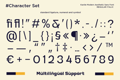 Kanile - Family Aesthetic Sans Serif Font Product Image 11