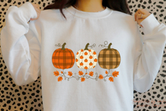 Floral Pumpkin PNG , Fall Pumpkin Sublimation, Pumpkin Product Image 1