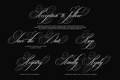Brilliani Script Pro Product Image 11