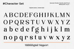 Quinela - Luxury Serif Family with 6 Weights Product Image 11