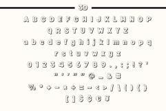 Fox Fresh : 8 Font Styles Product Image 11