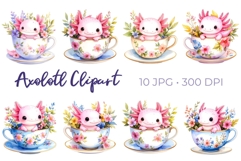 Kawaii Pink Axolotl in a Floral Teacup Clipart Bundle JPG Product Image 1
