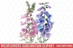 Wildflowers Sublimation Clipart Bundle Product Image 12