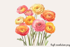 Watercolor Spring Flowers Clipart PNG Product Image 1