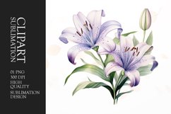 Watercolor lilies flower sublimation clipart Product Image 1