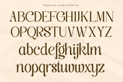 Classy Exclusive - Luxury Italic Font Product Image 11