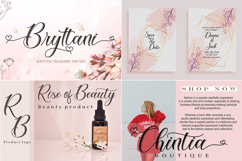 Royale Script Collection Fonts Bundle Product Image 11
