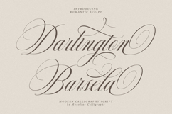 Delighton Script Product Image 11