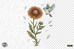 1920 Botanical Summer Wildflowers Clipart Product Image 1