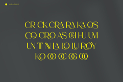 Coroy Product Image 11