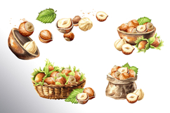 Huzelnuts. Hand drawn watercolor collection Product Image 12