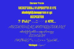 Mistkin | Font Duo Product Image 11