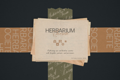 Armonia - Creative Font Duo Product Image 10