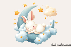Cute Easter Bunny Sublimation Clipart PNG Product Image 1