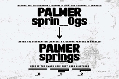Palmer Springs Product Image 11