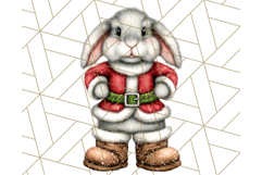 Christmas Animal Clipart, Festive Animals in Holiday Outfits Product Image 3