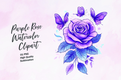 Purple rose with butterfly watercolor clipart sublimation Product Image 1