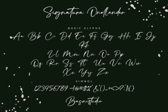 Signatura Onellander a Handwritten Font Product Image 10