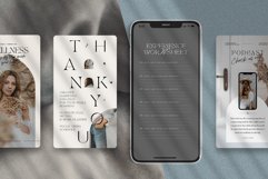 Blanche - Canva Instagram Stories Product Image 5