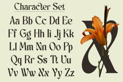 Schales - Aesthetic Ligature Serif Font Product Image 11