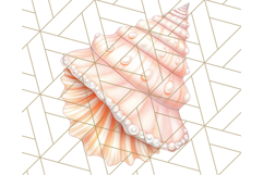 Natural Seashell Clipart PNG, Summer Nautical Beach Shell Product Image 3