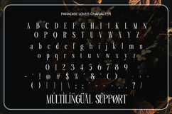 Paradise Loves - Elegant Serif Font Product Image 10