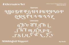 Dilema Figural - Elegant Modern Font Product Image 11