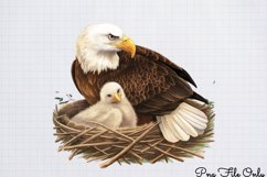 Woodland Animals Clipart Bundle PNG Product Image 12