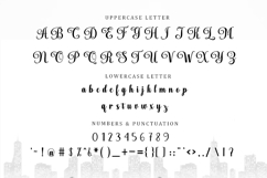 Black Delighter - Family Font In 82 Type Product Image 12