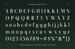 Twoswash - Beauty Elegant Ligature Serif Product Image 11