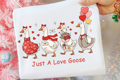 Just A Love Goose Png, Cute Valentine Goose Coquette png Product Image 2