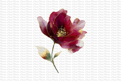 12 Burgundy Red and Gold Flowers PNG Product Image 6