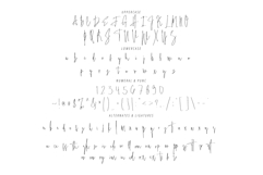 Amistarline Signature Product Image 11