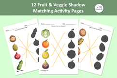 PreSchool 12 Fruit Vegetable Shadow Matching Activity Pages Product Image 11
