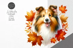 Autumn clipart, Shetland Sheepdog, Dog clipart Product Image 1