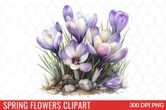 Spring Flowers Clipart Bundle Product Image 12