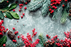 Christmas Background PNG, Christmas Berry Background Product Image 1