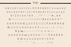 Fox Velina Font Product Image 11