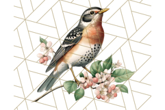 Vintage Song Bird Clipart PNG, Botanical Bird Art Clip Art Product Image 3