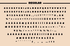 Fox Jumbo: 4 Font Styles Product Image 11
