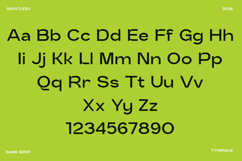 Sans Serif Typeface - Kelantis Product Image 11