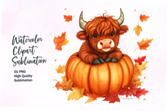 Cute highland cow inside pumpkin fall watercolor clipart Product Image 1