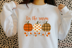 Cozy Cute Fall Floral Pumpkin PNG Product Image 2