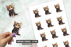 Cute cat sticker, funny cat sticker png Product Image 1