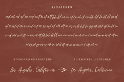 Angeleno Brush Script Product Image 11