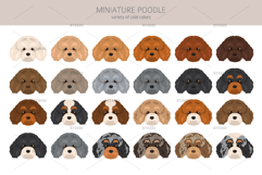 Miniature poodle clipart Product Image 4