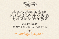 Baby Shake - Luxury Calligraphy Font with Swirl Alternate Product Image 11