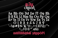 Blink Omega - Luxury Swash Serif Font Product Image 11