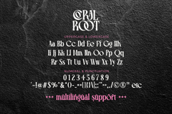 Coral Root - Modern Serif Font with Ligatures Product Image 11